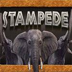 Stampede